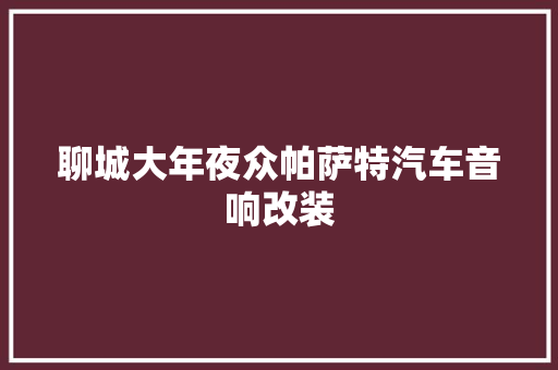 聊城大年夜众帕萨特汽车音响改装