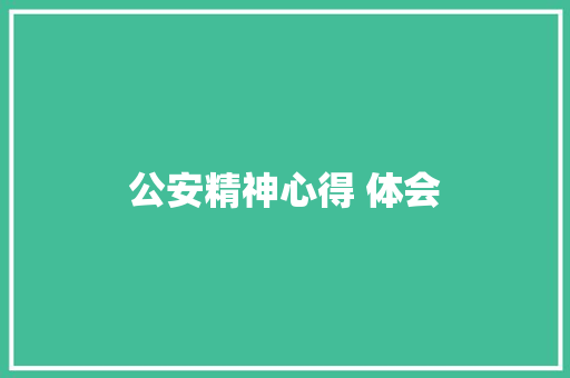 公安精神心得 体会