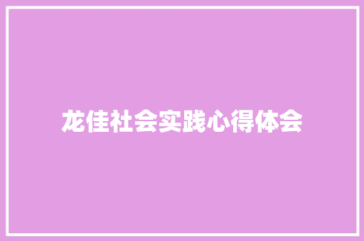 龙佳社会实践心得体会