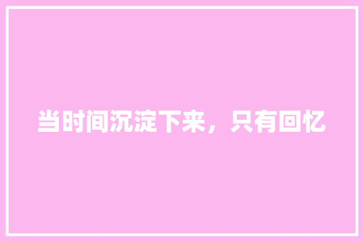 当时间沉淀下来，只有回忆 知识百科