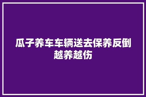 瓜子养车车辆送去保养反倒越养越伤