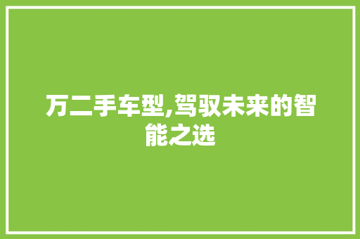 万二手车型,驾驭未来的智能之选