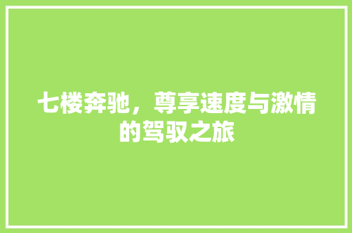 七楼奔驰，尊享速度与激情的驾驭之旅
