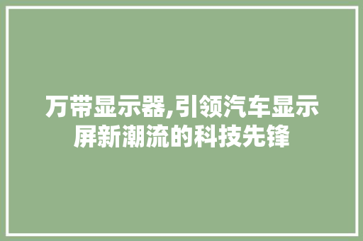 万带显示器,引领汽车显示屏新潮流的科技先锋