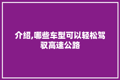 介绍,哪些车型可以轻松驾驭高速公路