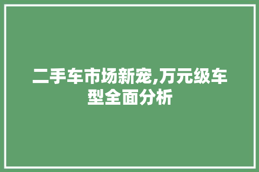 二手车市场新宠,万元级车型全面分析 汽车知识