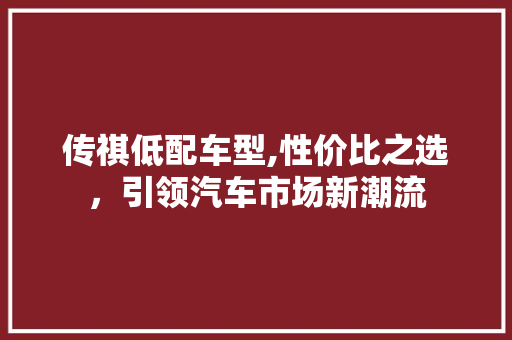 传祺低配车型,性价比之选，引领汽车市场新潮流