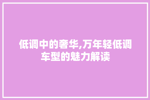 低调中的奢华,万年轻低调车型的魅力解读