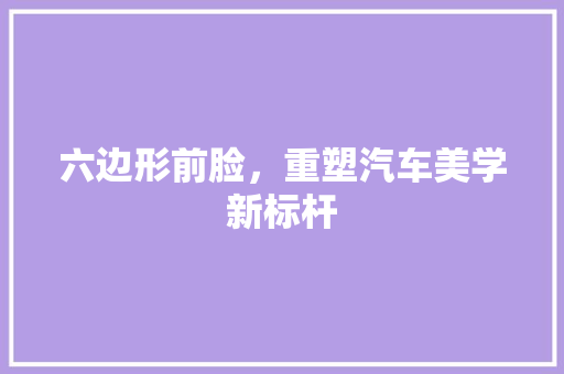 六边形前脸，重塑汽车美学新标杆 汽车知识