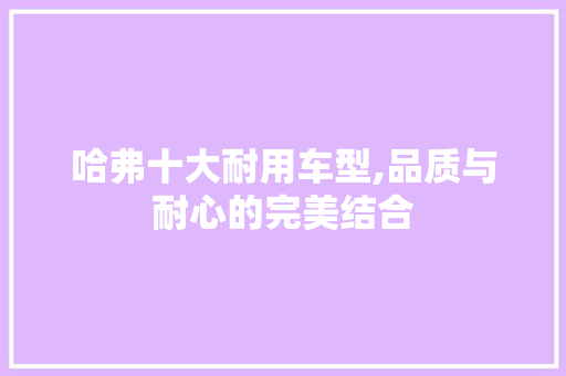 哈弗十大耐用车型,品质与耐心的完美结合