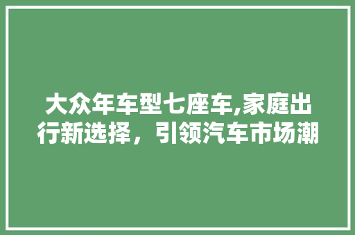 大众年车型七座车,家庭出行新选择，引领汽车市场潮流