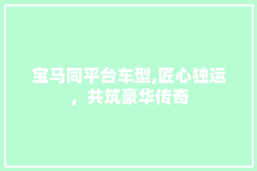 宝马同平台车型,匠心独运，共筑豪华传奇