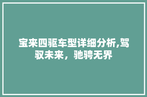 宝来四驱车型详细分析,驾驭未来，驰骋无界