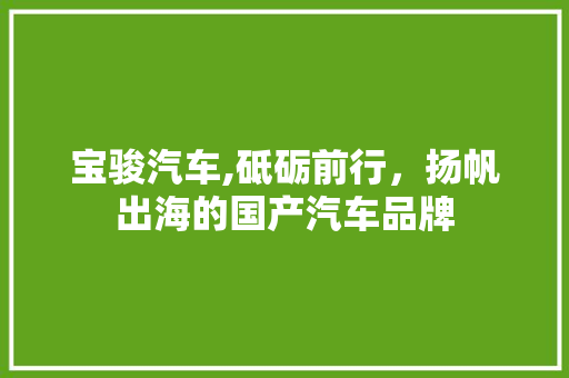 宝骏汽车,砥砺前行，扬帆出海的国产汽车品牌 汽车知识
