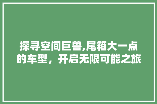 探寻空间巨兽,尾箱大一点的车型，开启无限可能之旅