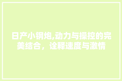 日产小钢炮,动力与操控的完美结合，诠释速度与激情