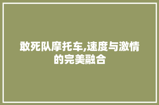 敢死队摩托车,速度与激情的完美融合 汽车知识