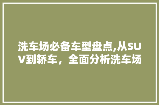 洗车场必备车型盘点,从SUV到轿车，全面分析洗车场热门车型 汽车知识