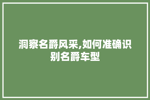洞察名爵风采,如何准确识别名爵车型 汽车知识
