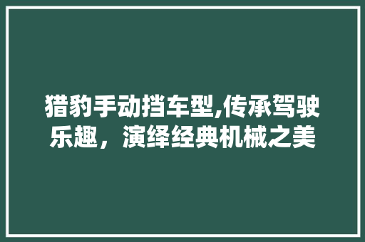 猎豹手动挡车型,传承驾驶乐趣，演绎经典机械之美