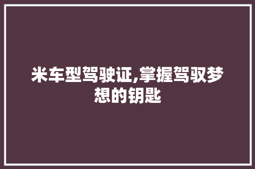 米车型驾驶证,掌握驾驭梦想的钥匙