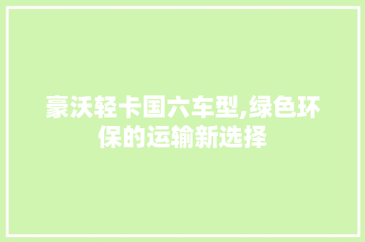 豪沃轻卡国六车型,绿色环保的运输新选择