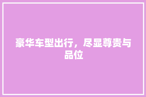 豪华车型出行，尽显尊贵与品位 汽车知识
