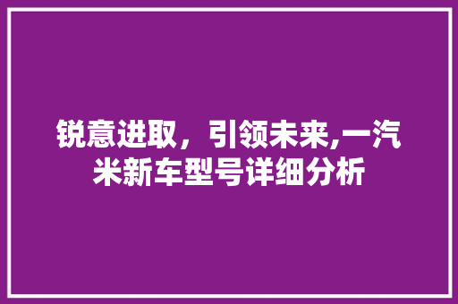 锐意进取，引领未来,一汽米新车型号详细分析