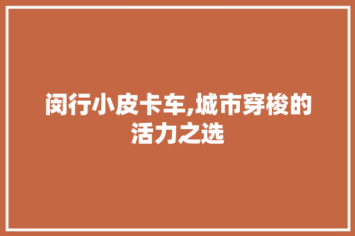 闵行小皮卡车,城市穿梭的活力之选