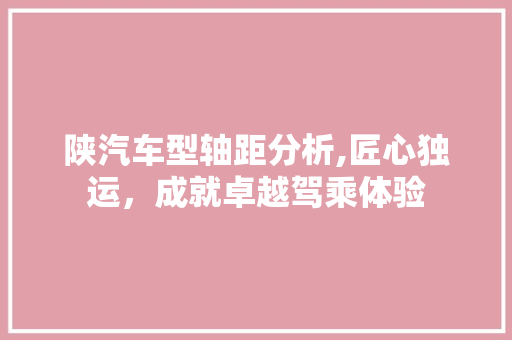 陕汽车型轴距分析,匠心独运，成就卓越驾乘体验 汽车知识