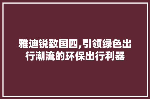 雅迪锐致国四,引领绿色出行潮流的环保出行利器 汽车知识