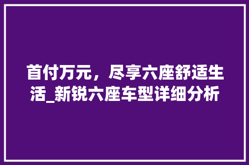 首付万元，尽享六座舒适生活_新锐六座车型详细分析 汽车知识