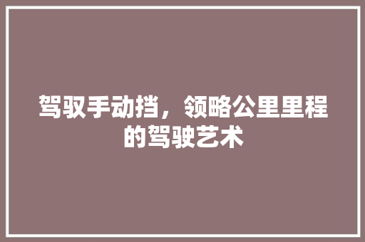 驾驭手动挡，领略公里里程的驾驶艺术 汽车知识
