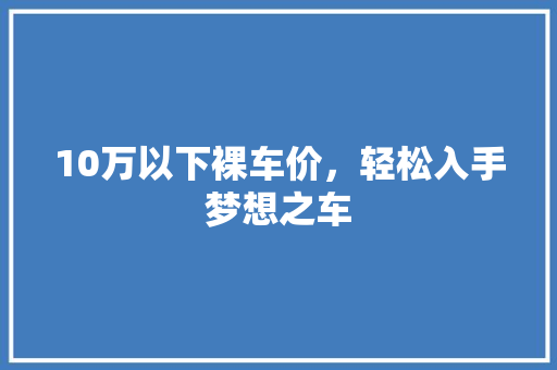 10万以下裸车价，轻松入手梦想之车