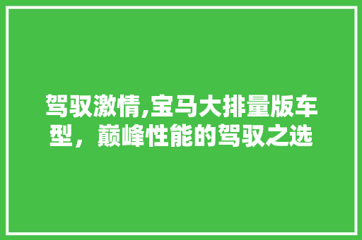 驾驭激情,宝马大排量版车型，巅峰性能的驾驭之选