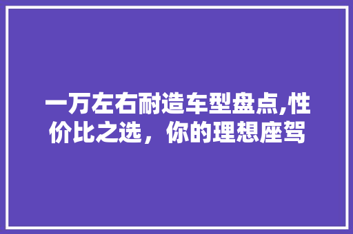 一万左右耐造车型盘点,性价比之选，你的理想座驾