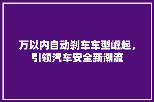 万以内自动刹车车型崛起，引领汽车安全新潮流