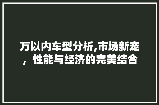 万以内车型分析,市场新宠，性能与经济的完美结合 生活常识