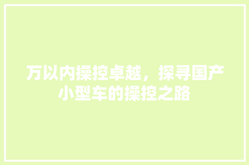 万以内操控卓越，探寻国产小型车的操控之路