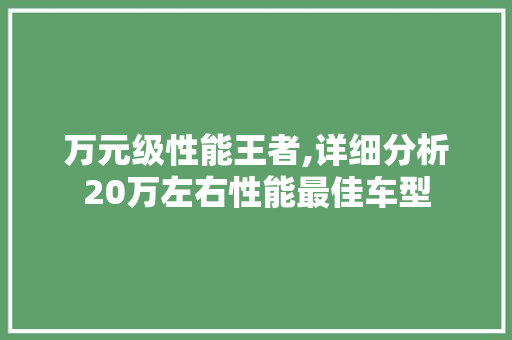 万元级性能王者,详细分析20万左右性能最佳车型