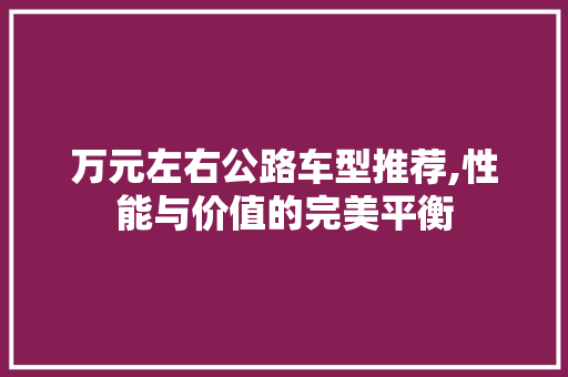 万元左右公路车型推荐,性能与价值的完美平衡