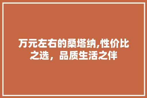 万元左右的桑塔纳,性价比之选，品质生活之伴