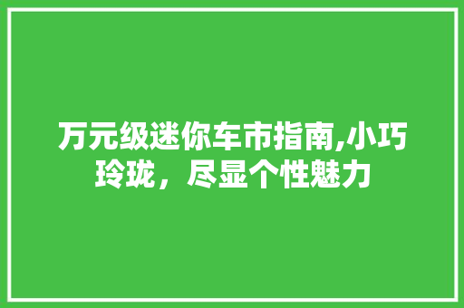 万元级迷你车市指南,小巧玲珑，尽显个性魅力