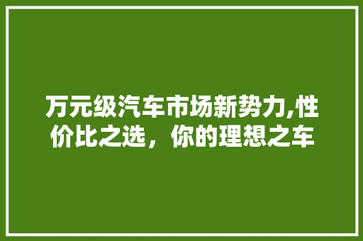 万元级汽车市场新势力,性价比之选，你的理想之车