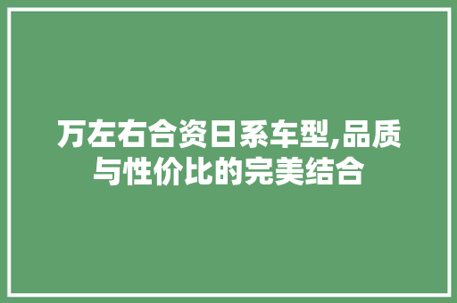 万左右合资日系车型,品质与性价比的完美结合 休闲娱乐