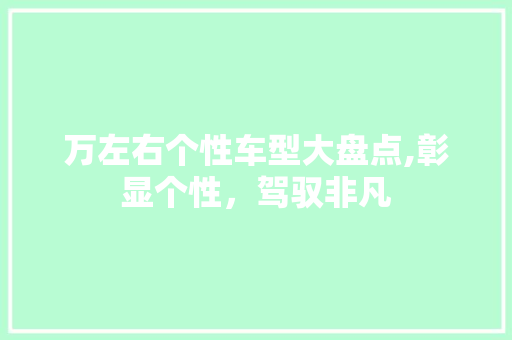 万左右个性车型大盘点,彰显个性，驾驭非凡