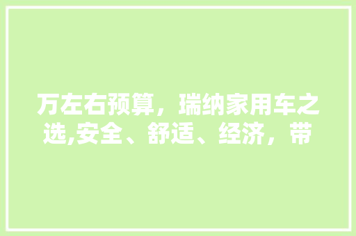 万左右预算，瑞纳家用车之选,安全、舒适、经济，带您领略品质生活 综合知识