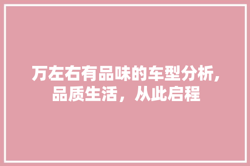 万左右有品味的车型分析,品质生活，从此启程 综合知识