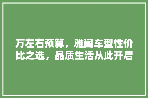 万左右预算，雅阁车型性价比之选，品质生活从此开启