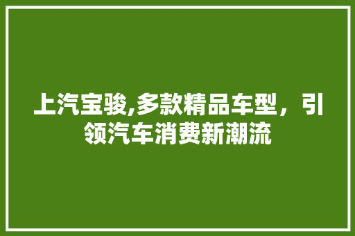 上汽宝骏,多款精品车型，引领汽车消费新潮流 知识百科